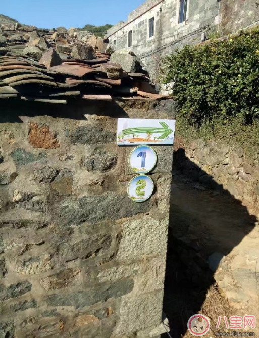 爸爸去哪兒5什么時(shí)候播 爸爸去哪兒5播出時(shí)間 爸爸去哪兒5什么時(shí)候播 爸爸去哪兒5播出時(shí)間