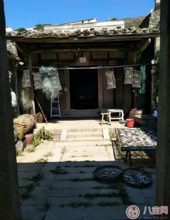 爸爸去哪兒5什么時(shí)候播 爸爸去哪兒5播出時(shí)間 爸爸去哪兒5什么時(shí)候播 爸爸去哪兒5播出時(shí)間