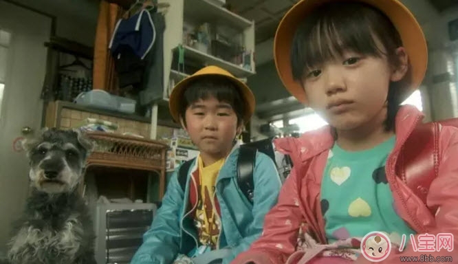 剛學(xué)說話的寶寶要不要和他說方言 家庭語言雜亂家長怎么教 剛學(xué)說話的寶寶要不要和他說方言 家庭語言雜亂家長怎么教