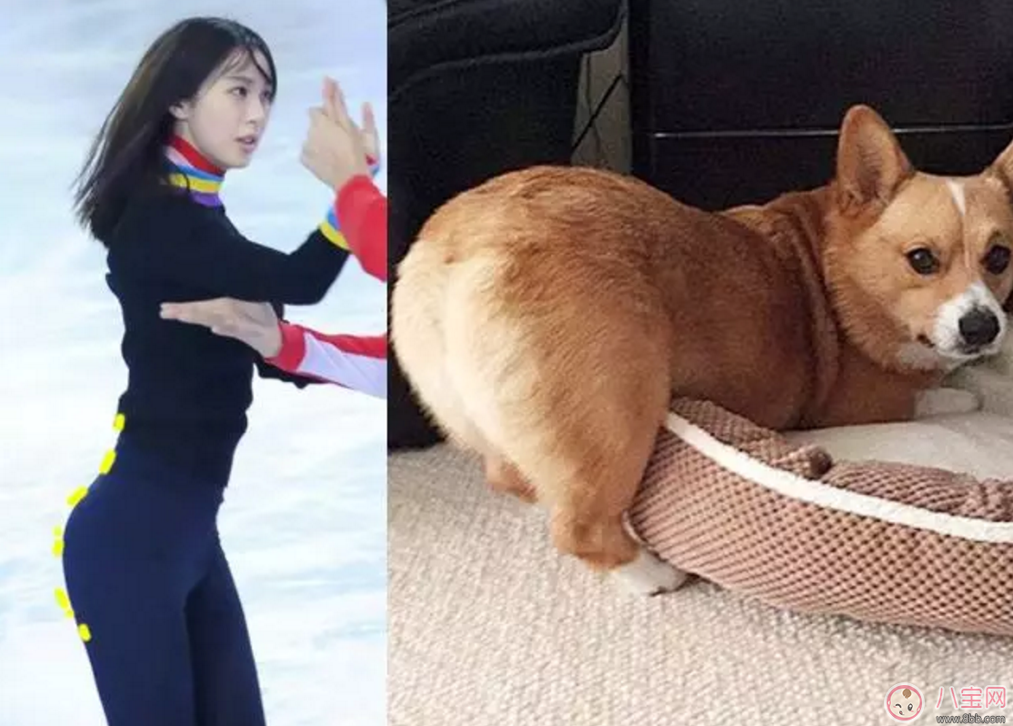 李菲兒柯基臀成最新身材標準 如何擁有柯基臀