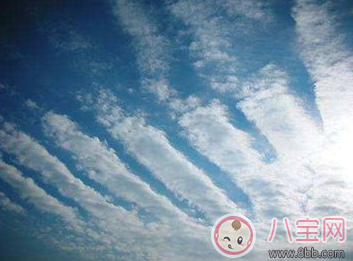 地震孩子如何自救 爸爸媽媽不在身邊怎么保護自己 地震孩子如何自救 爸爸媽媽不在身邊怎么保護自己