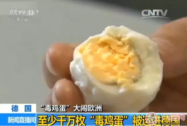 毒雞蛋對歐洲影響很大 中國的雞蛋還能吃嗎 毒雞蛋對歐洲影響很大 中國的雞蛋還能吃嗎