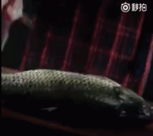 三生三世十里拉面是什么意思 三生三世十里拉面是什么梗