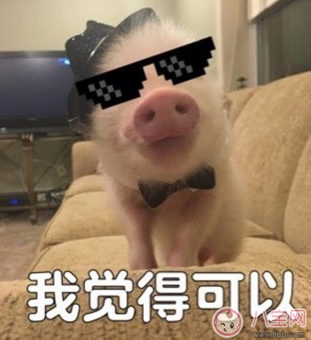 我覺(jué)得不行我覺(jué)得可以是什么梗 我覺(jué)得不行我覺(jué)得可以怎么火的