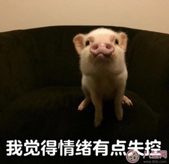 我覺(jué)得不行我覺(jué)得可以是什么梗 我覺(jué)得不行我覺(jué)得可以怎么火的