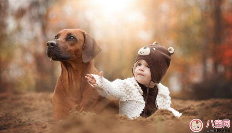 2017七夕節(jié)全家旅游出行 寶寶哭鬧怎么辦