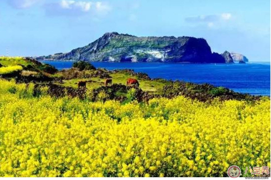 2017七夕節(jié)全家出游攻略 帶娃出行怎么做 2017七夕節(jié)全家出游攻略 帶娃出行怎么做