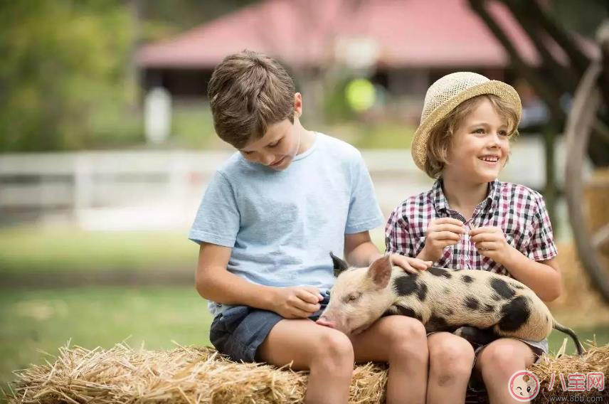 小學生2天上9個培訓班 孩子暑假如何正確安排