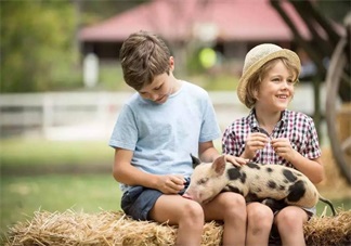 小學(xué)生2天上9個培訓(xùn)班 孩子暑假如何正確安排