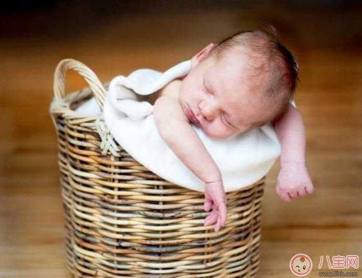 2017年雞寶寶取名禁忌 雞寶寶取名宜用字(男寶寶女寶寶) 2017年雞寶寶取名禁忌 雞寶寶取名宜用字(男寶寶女寶寶)