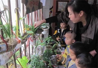 夏季帶孩子養(yǎng)植物養(yǎng)什么植物好 和孩子養(yǎng)植物成長快
