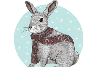 寶寶睡前胎教小故事 森林里的紅圍巾