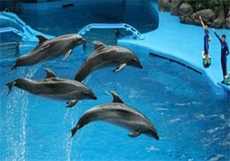 親子游去哪避暑比較好 武漢最佳避暑游玩推薦