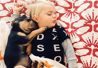 夏天寶寶要不要午睡 小孩夏天午睡好處(有助于幼兒語言發(fā)展)