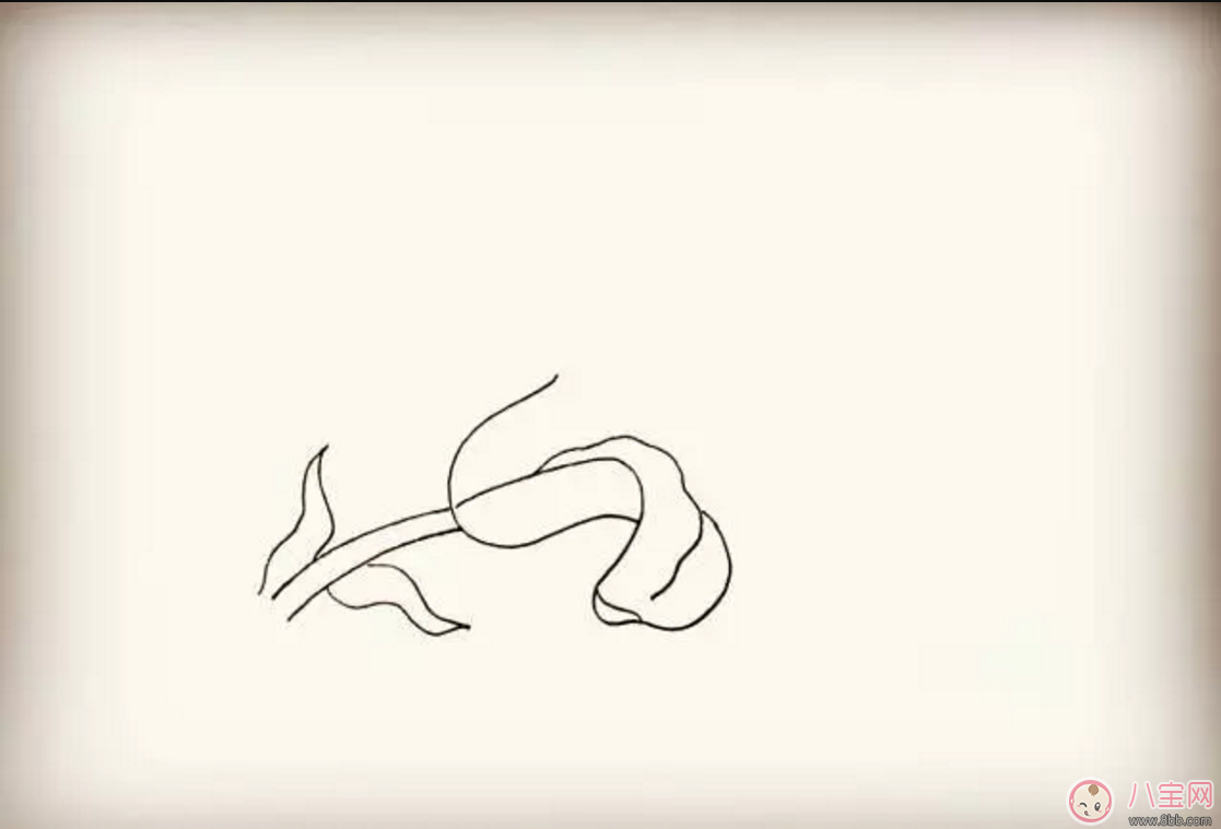 怎么教寶寶花百合花 百合花簡筆畫 怎么教寶寶花百合花 百合花簡筆畫