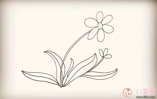 兒童簡(jiǎn)筆畫(huà)太陽(yáng)花 太陽(yáng)花圖片簡(jiǎn)筆畫(huà)步驟 兒童簡(jiǎn)筆畫(huà)太陽(yáng)花 太陽(yáng)花圖片簡(jiǎn)筆畫(huà)步驟