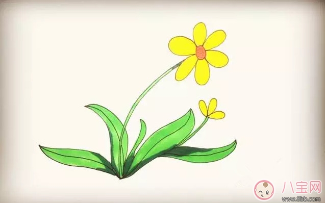 兒童簡(jiǎn)筆畫(huà)太陽(yáng)花 太陽(yáng)花圖片簡(jiǎn)筆畫(huà)步驟 兒童簡(jiǎn)筆畫(huà)太陽(yáng)花 太陽(yáng)花圖片簡(jiǎn)筆畫(huà)步驟