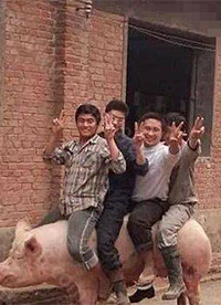 你們想過豬的感受嗎？