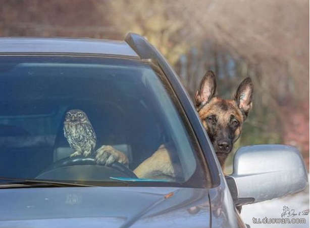 搞笑內涵圖片之拔下來那一刻我好方