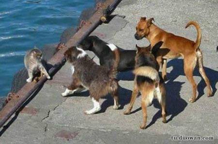 搞笑內(nèi)涵段子圖片大分享