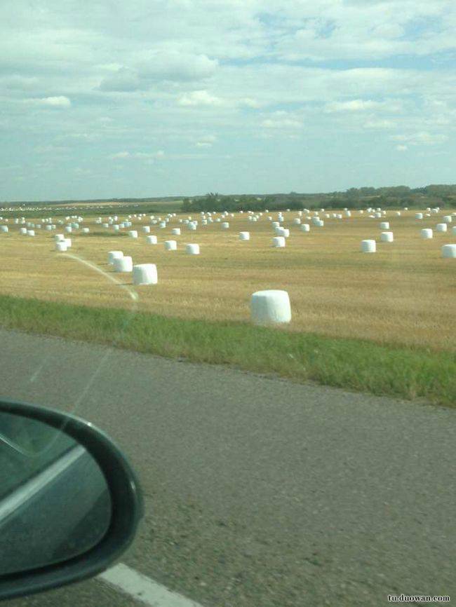 搞笑內涵段子圖片大分享