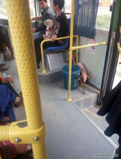 搞笑內(nèi)涵段子圖片大分享