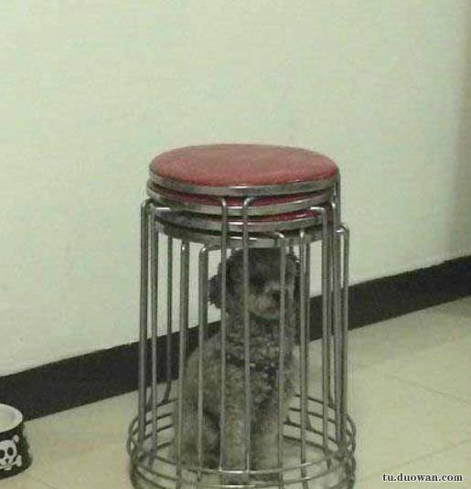 爆笑內(nèi)涵圖片之女廁還有這種東西?