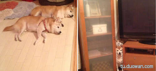 邪惡內(nèi)涵圖片之你第一眼是先看哪里？