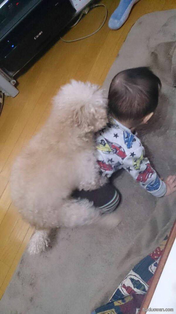 搞笑內(nèi)涵圖片之拔下來那一刻我好方