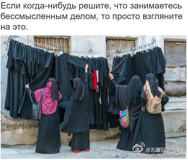 邪惡內(nèi)涵圖片之你第一眼是先看哪里？