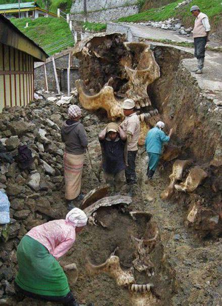 這就是傳說中的&ldquo;守株待兔&rdquo;？