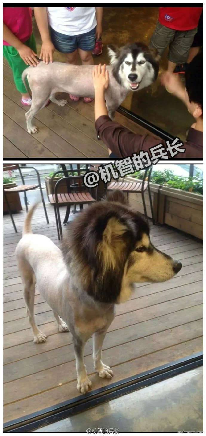 搞笑內(nèi)涵圖之喵星人:我仿佛聞到了小魚干的味道