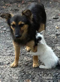 爆笑惡搞圖片之不要離開(kāi)我