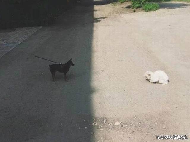 邪惡內(nèi)涵圖片之你第一眼是先看哪里？