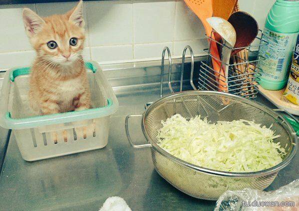 邪惡內(nèi)涵圖片之你第一眼是先看哪里？