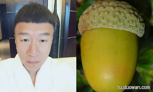 搞笑內(nèi)涵圖片之拔下來(lái)那一刻我好方