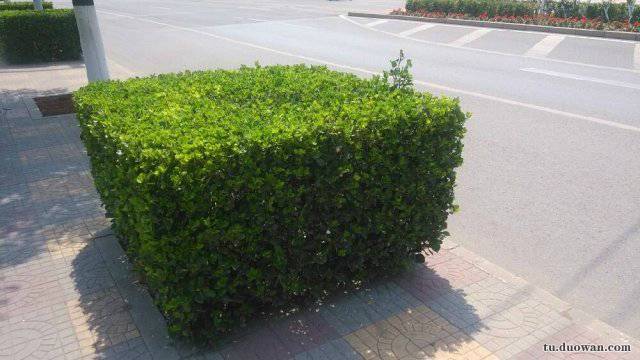 搞笑內(nèi)涵段子圖片大分享