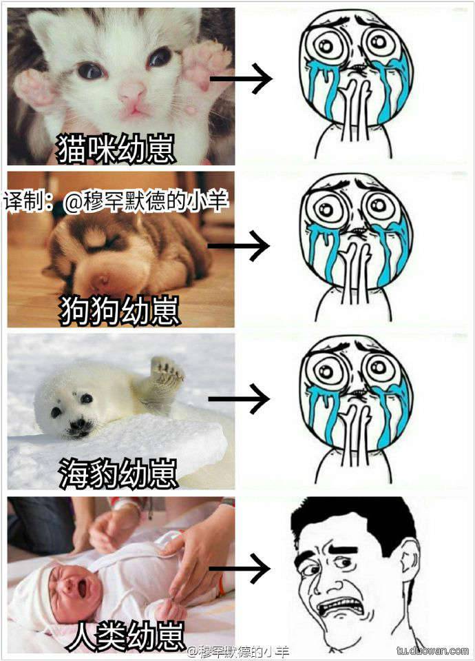 邪惡內(nèi)涵圖片之你第一眼是先看哪里？