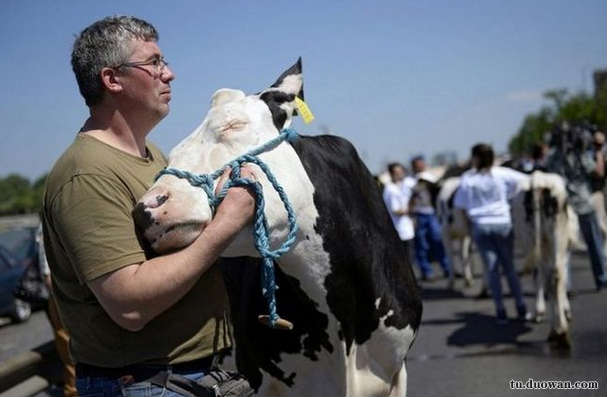 搞笑內(nèi)涵圖之喵星人:我仿佛聞到了小魚(yú)干的味道