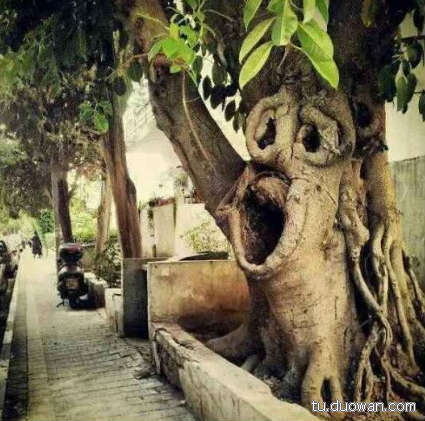 搞笑內(nèi)涵圖片之拔下來那一刻我好方