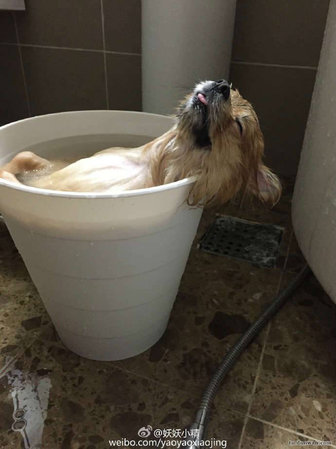 搞笑內(nèi)涵圖之喵星人:我仿佛聞到了小魚干的味道