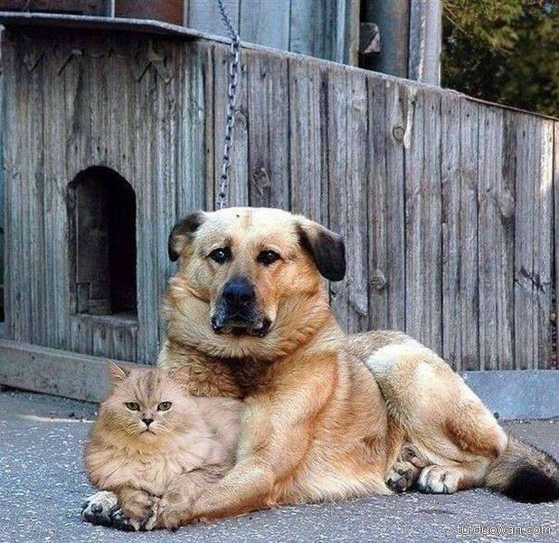 邪惡內涵圖片之你第一眼是先看哪里？