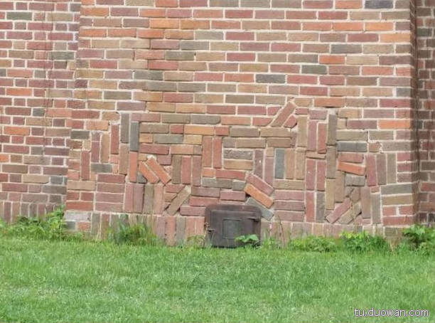 搞笑內(nèi)涵圖片之拔下來那一刻我好方