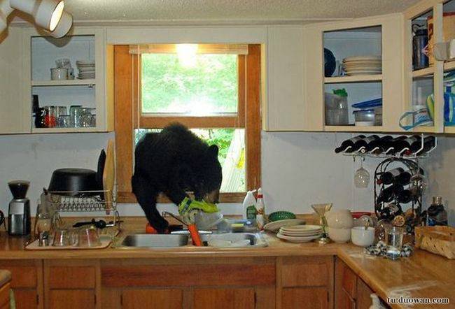 搞笑內(nèi)涵圖片之論男生如何在泳池制造飄逸效果