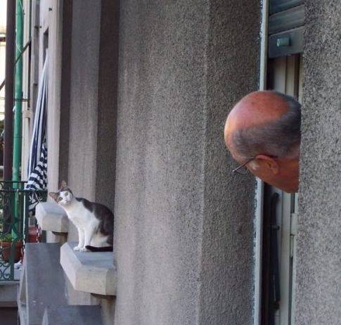 國外搞笑趣圖一覽逗樂你的生活