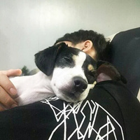 QQ個性陽光型男頭像 愛動物的暖男