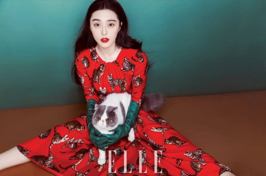 范冰冰雜志封面圖片 抱貓賣萌俏皮可愛