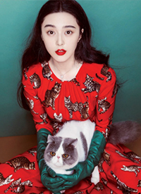 范冰冰雜志封面圖片 抱貓賣萌俏皮可愛