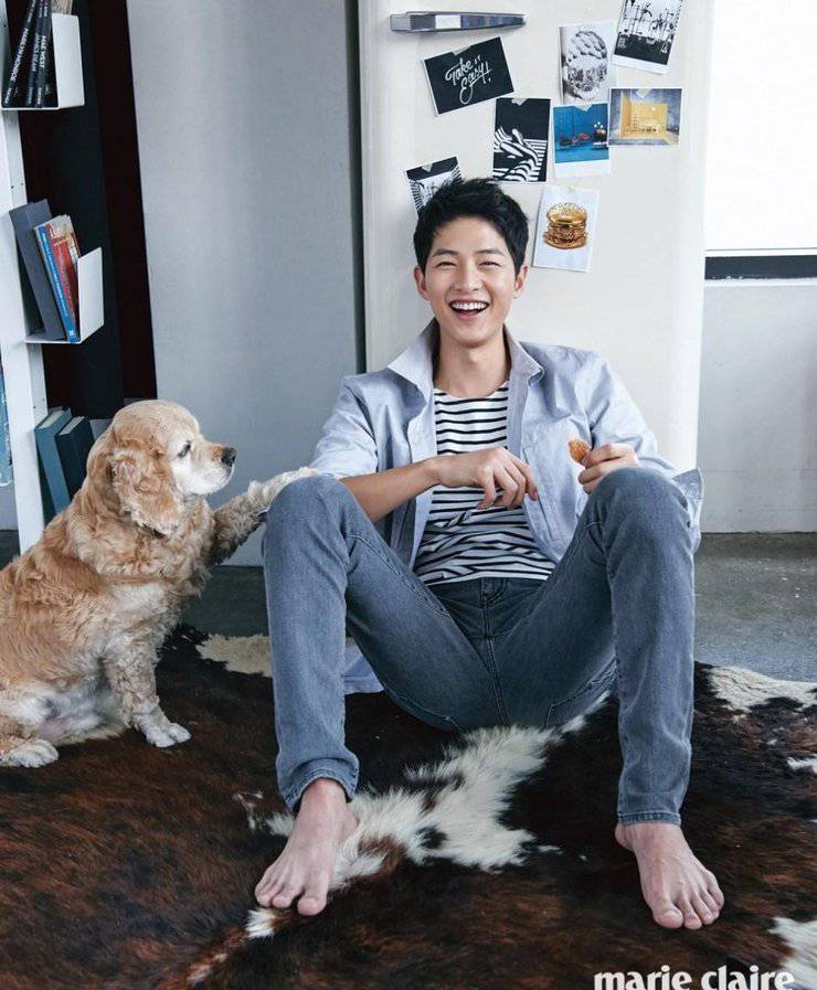 宋仲基最新寫(xiě)真照曝光 化身愛(ài)狗帥氣宅男