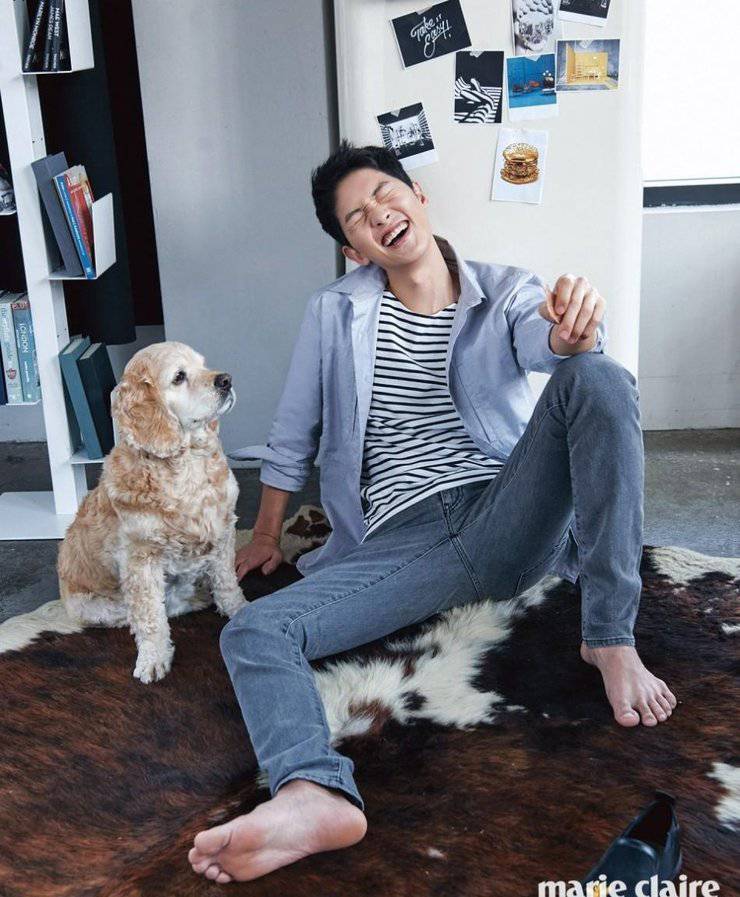 宋仲基最新寫真照曝光 化身愛狗帥氣宅男